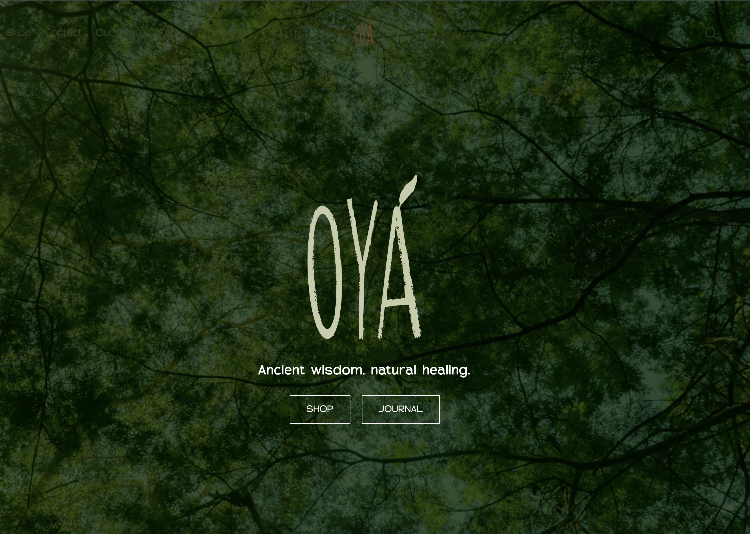 Screenshot 2026 01 09 at 1.50.07 PM digital marketing Seeds with marketing strategies for local businesses in the Gold Coast Australia