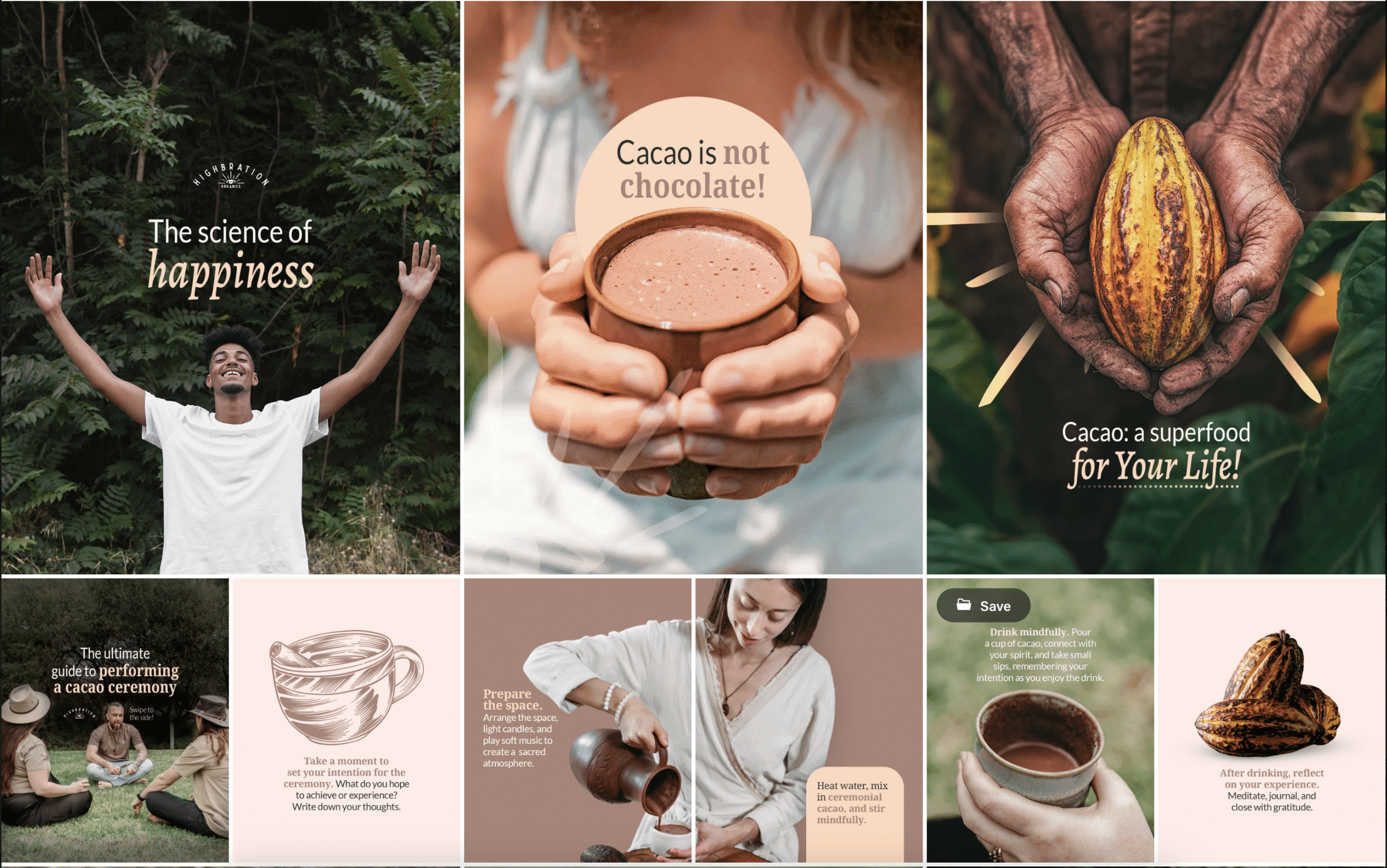 Screenshot 2026 01 09 at 1.51.50 PM scaled digital marketing Seeds with marketing strategies for local businesses in the Gold Coast Australia