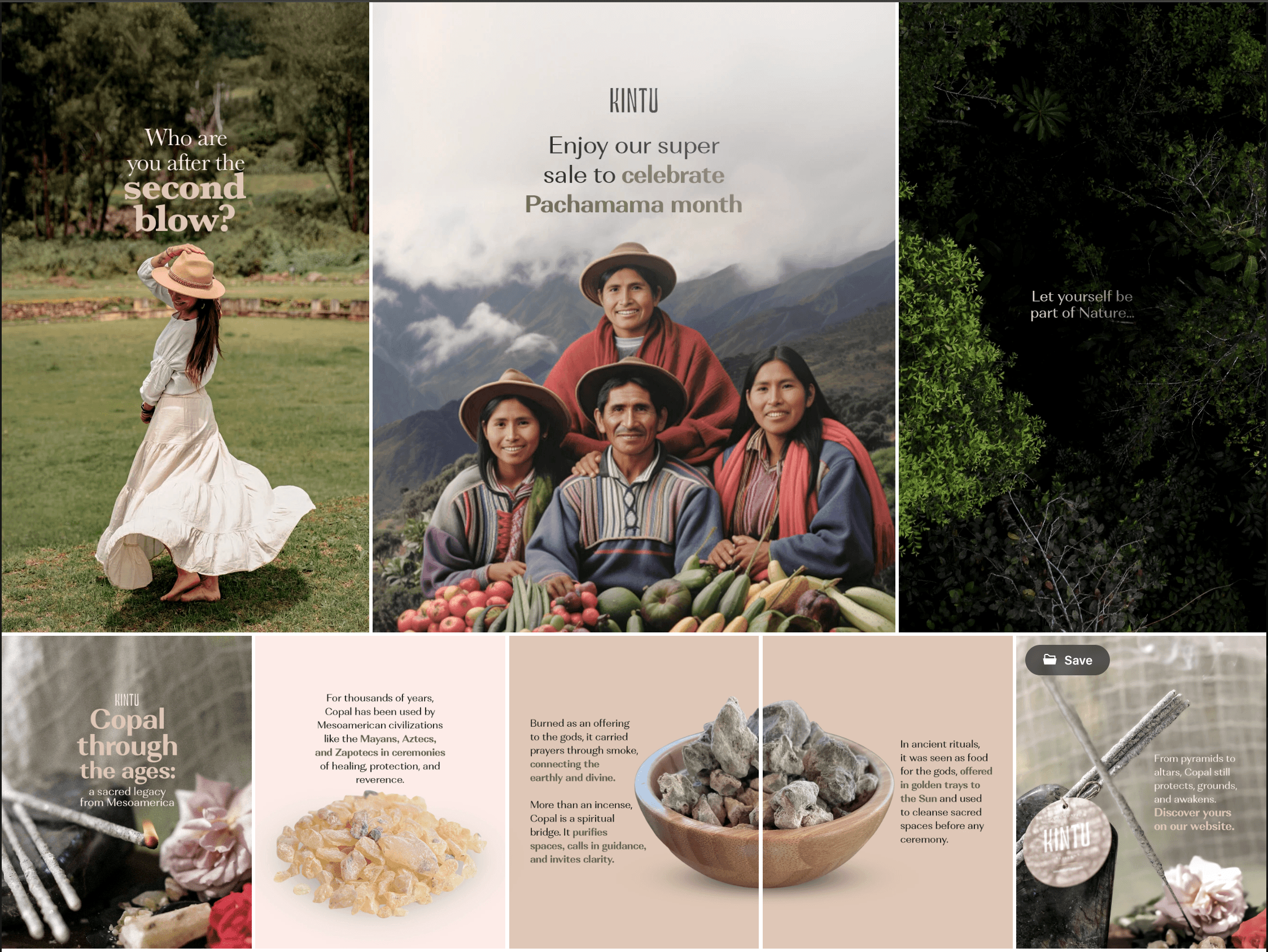 Screenshot 2026 01 09 at 1.52.49 PM digital marketing Seeds with marketing strategies for local businesses in the Gold Coast Australia