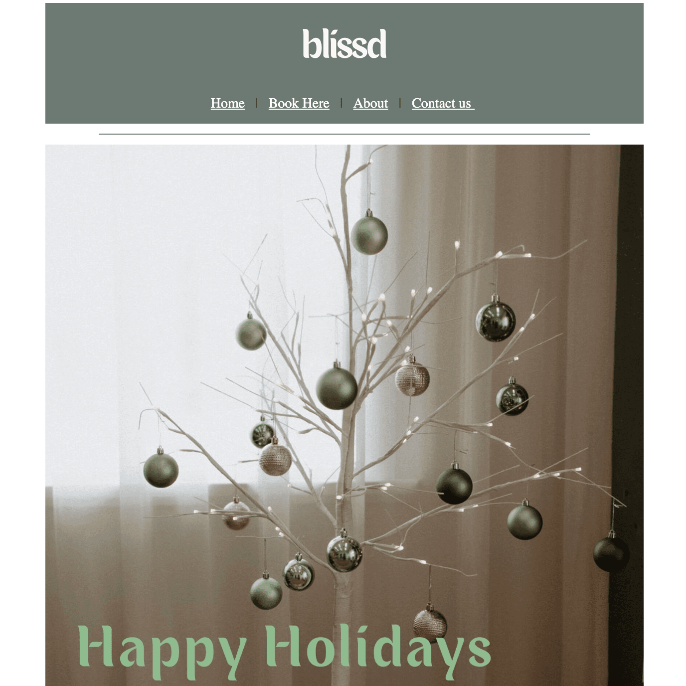 Screenshot 2026 01 09 at 2.51.59 PM e1767931376579 digital marketing Seeds with marketing strategies for local businesses in the Gold Coast Australia